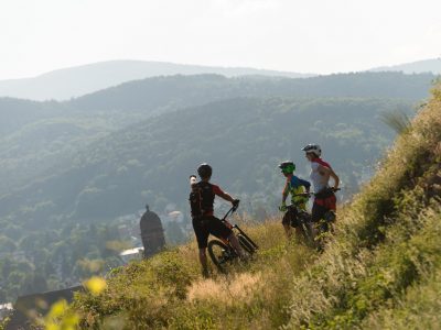 VTT Guebwiller ©Grégory Tachet