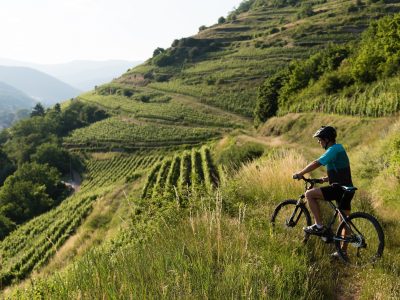 VTT Guebwiller ©Grégory Tachet