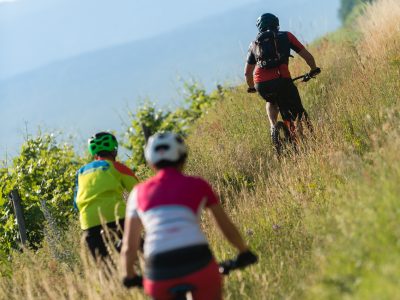 VTT Guebwiller ©Grégory Tachet